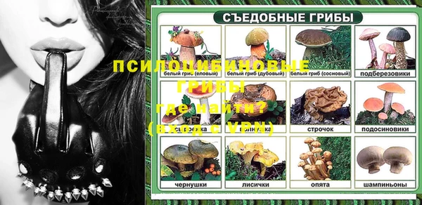 молекула духа Алексин