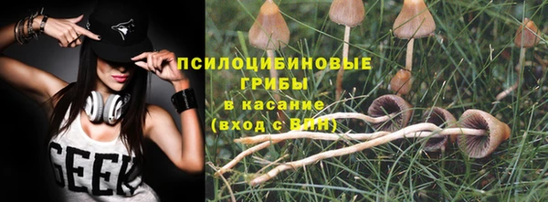 каннабис Алексеевка