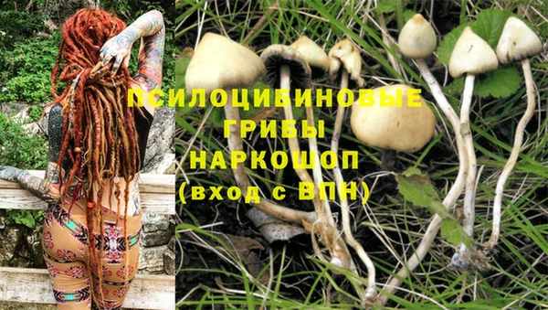 каннабис Алексеевка