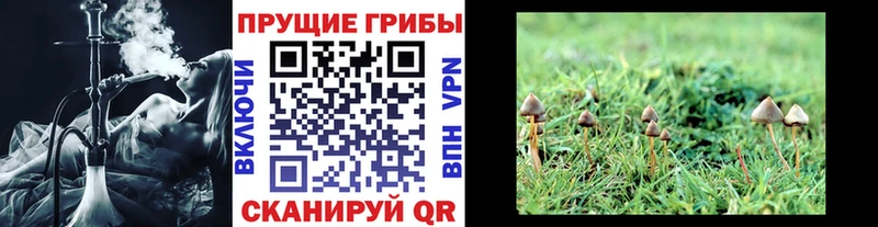 Галлюциногенные грибы ЛСД  Слюдянка 